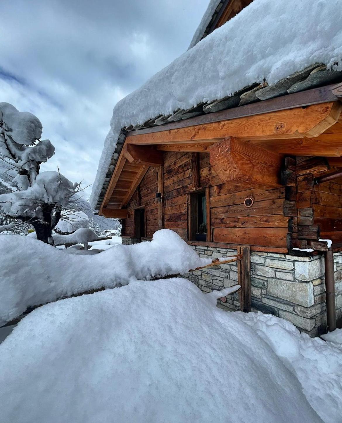 Hibou Chambres - Cogne Extérieur photo